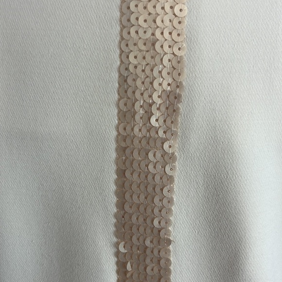 Silvia Tcherassi Pearl Single Breasted Blazer with Sequin Stripe to Centre Back - Picture 7 of 17